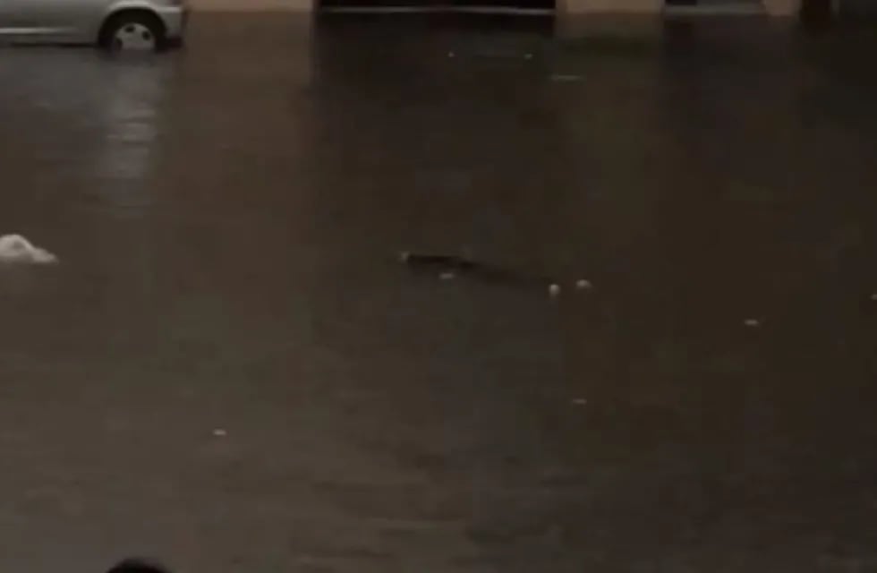 Diluvio en Buenos Aires: vio un cuerpo flotando desde la ventana de su casa y lo reportó en sus redes