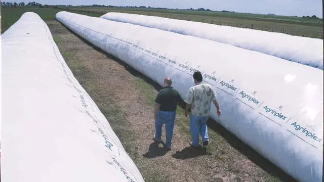Bolsas. Tienen 60 metros de largo y pueden guardar 200 toneladas de trigo, maíz y soja (La Voz / Archivo).