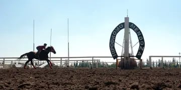 El mejor caballo de la provincia es la atracción principal de la excelente jornada de carreras que se disputa hoy en el Hipódromo de Mendoza