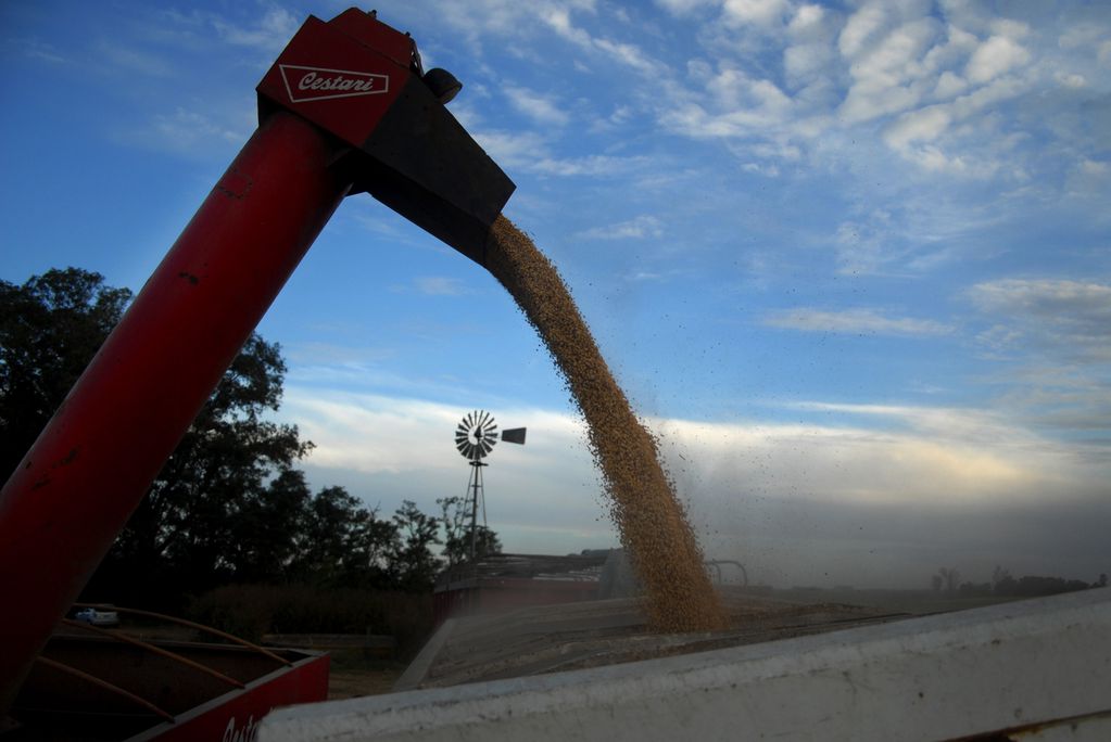 El Gobierno nacional puso nuevas trabas a las exportaciones de maíz y suma quejas de los productores.