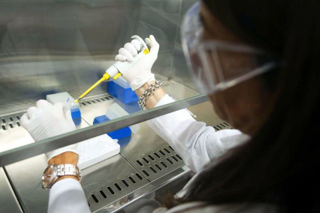 Biología molecular: un laboratorio para reconocer virus y bacterias en 3 horas