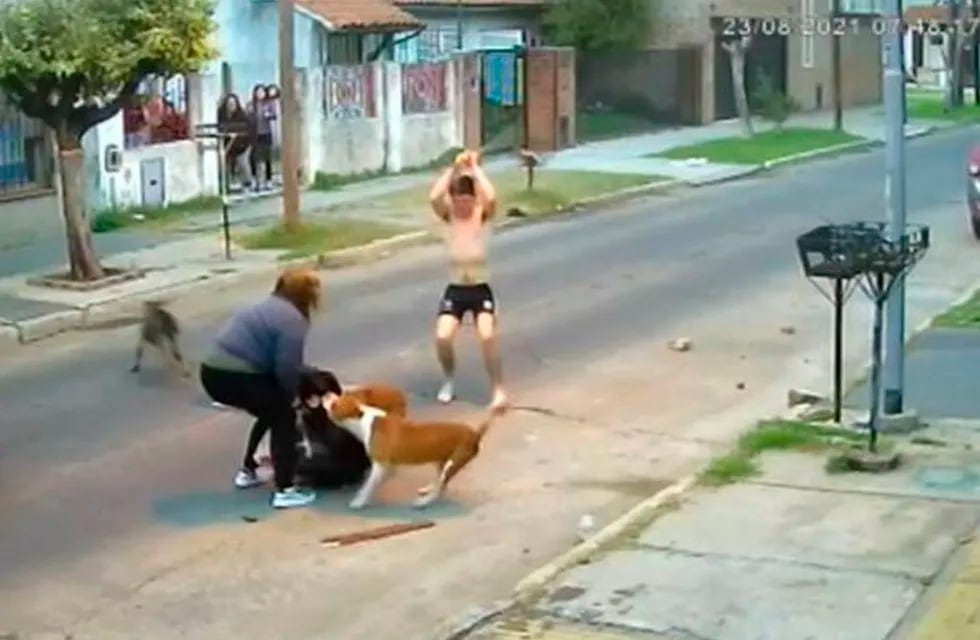 Gracias a la defensa del joven, la mujer pudo escapara del ataque de los perros.