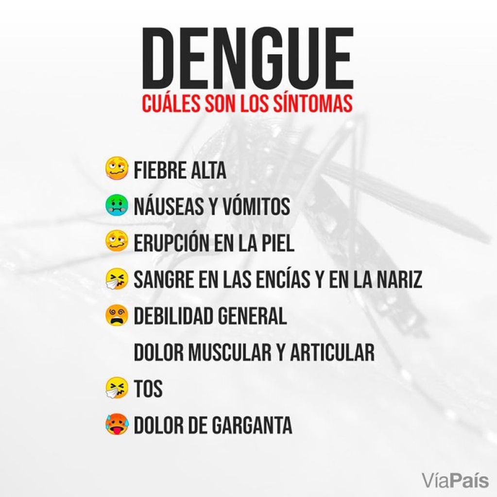 Para tener en cuenta: los síntomas que caracterizan al dengue.