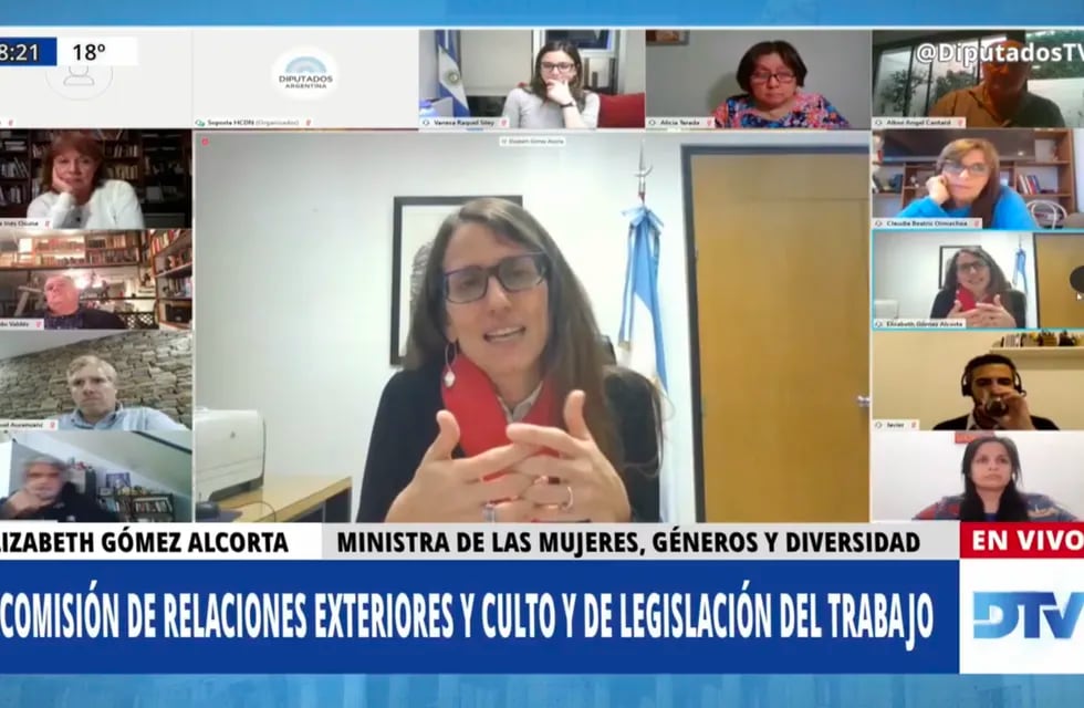 La Ministra de Mujeres, Géneros y Diversidad, Elizabeth Gómez Alcorta,  expone en Diputados sobre violencia y acoso laboral.
