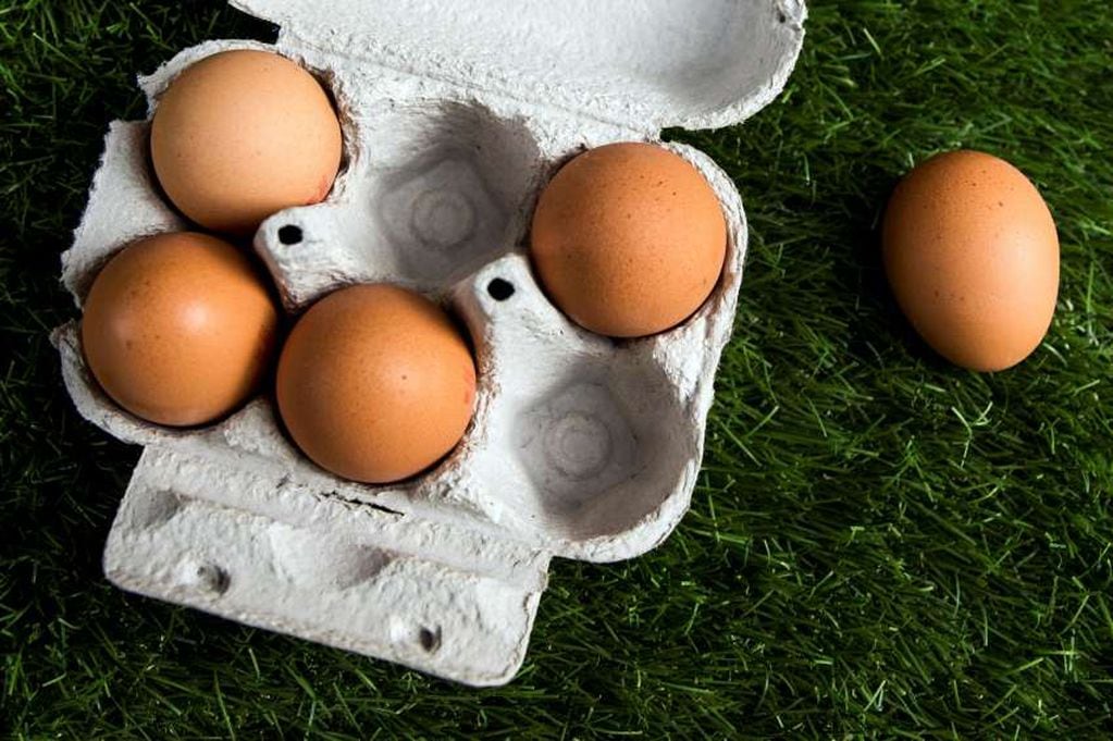 Se esperan nuevos aumentos para el precio del huevo. - Foto: Orlando Pelichotti / Los Andes 