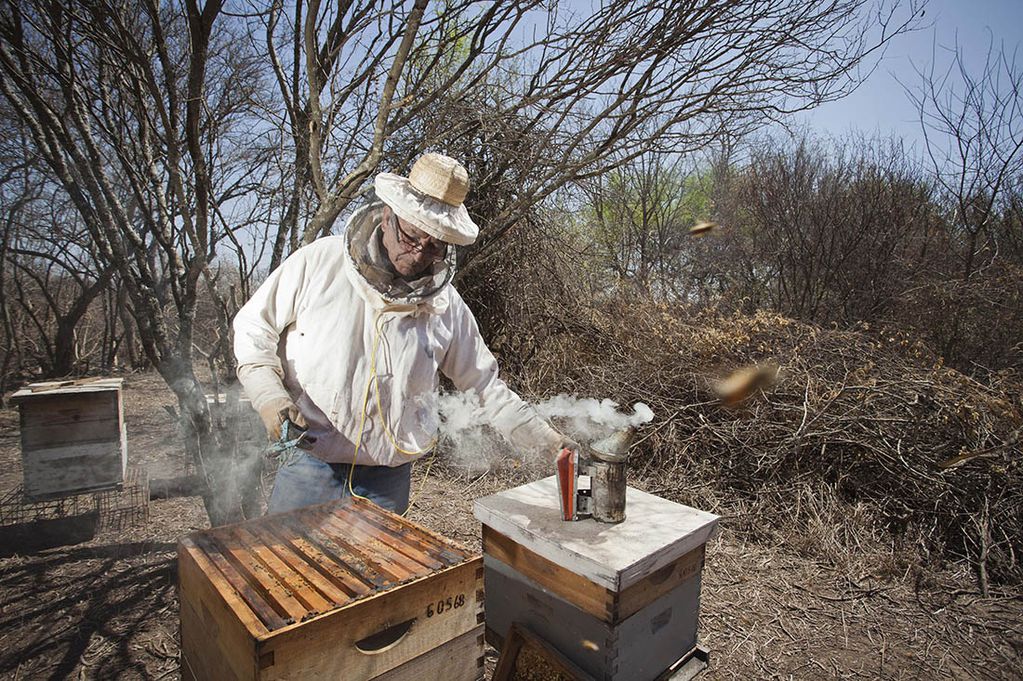 Apicultura miel
Ricardo Sosa, productor apícola.