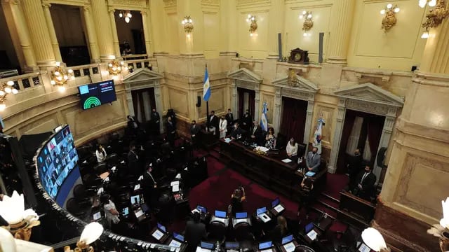 Sesión en el Senado (Foto: Clarín)