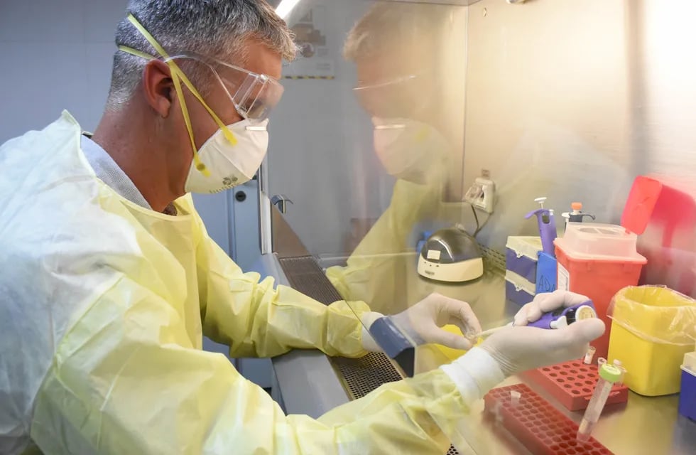 Investigadores del INTA avanzan en el desarrollo de una vacuna contra el Coronavirus.