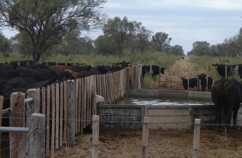 Desde hace varios años los productores ganaderos vienen solicitando mejoras en la infraestructura que rodea a los campos. / Foto: Gentileza