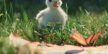 Un pequeño pato es el protagonista de un tierno video publicitario del parque de diversiones de París.
