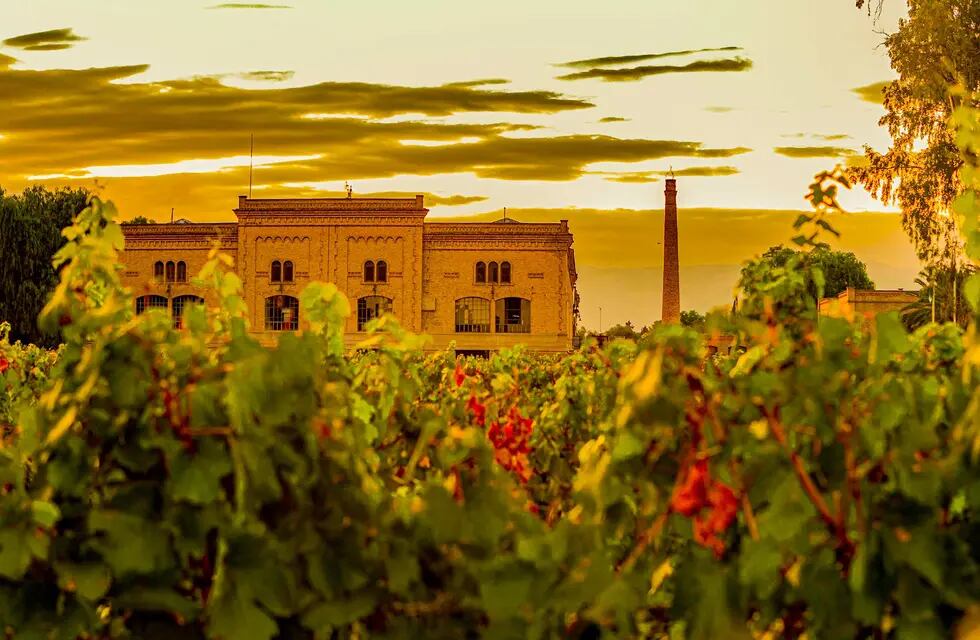 Estos galardones dejan en lo más alto a la vitivinicultura local.