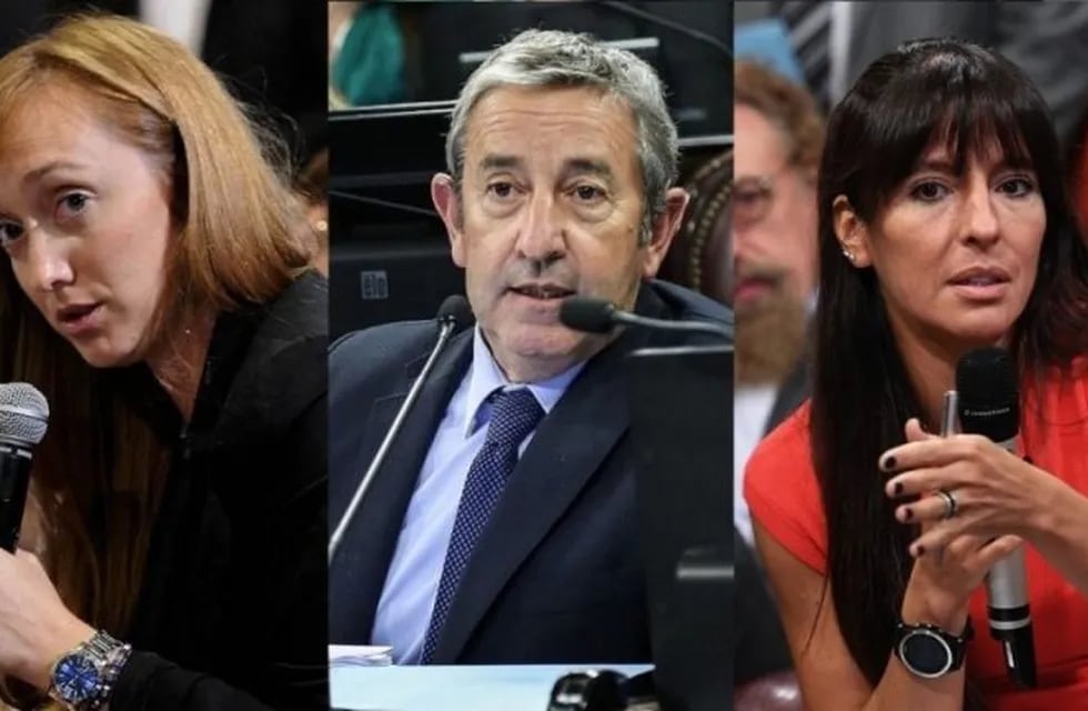 Senadores por Mendoza: Anabel Fernández Sagasti, Julio Cobos y Pamela Verasay