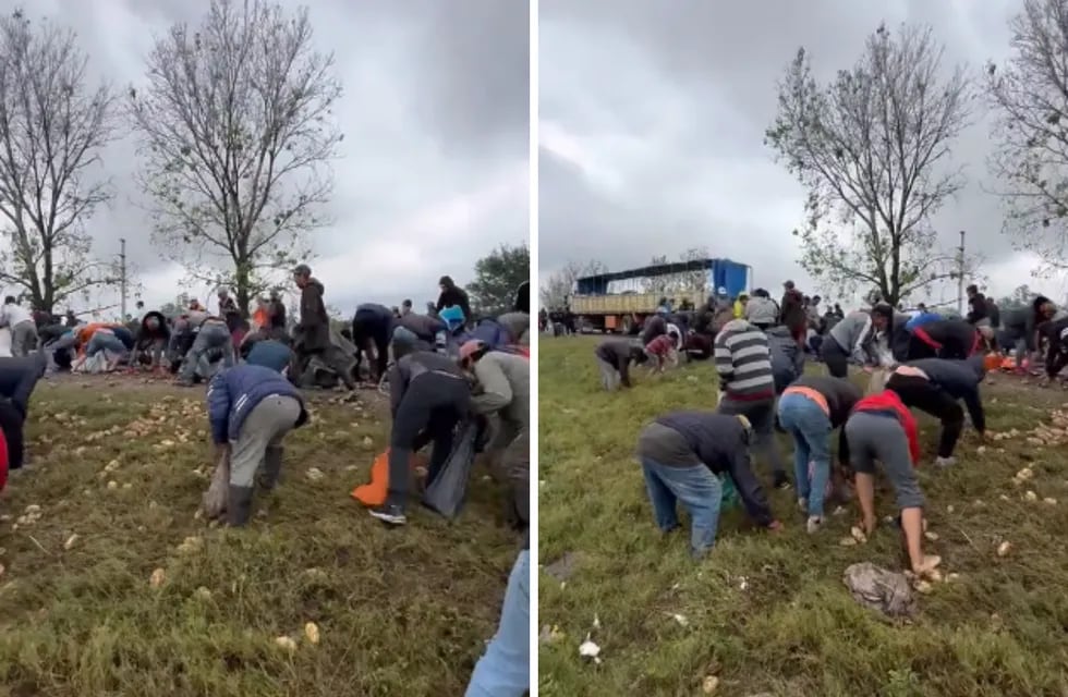 Un camión cargado con papas volcó en Tucumán y los vecinos arrasaron con la carga.