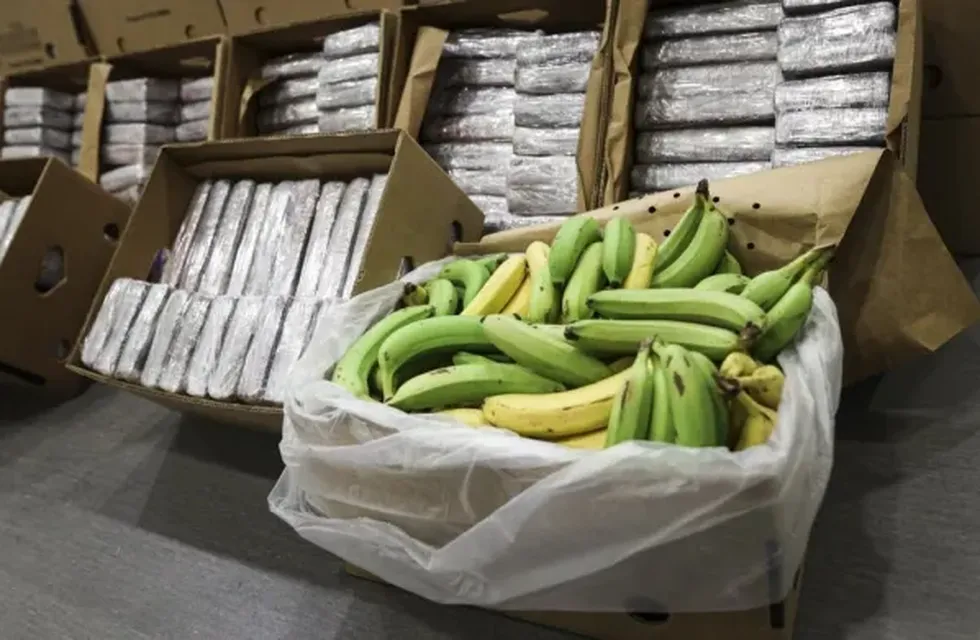 La policía de Portugal incautó más de 4 toneladas de cocaína escondidas en un cargamento de bananas.