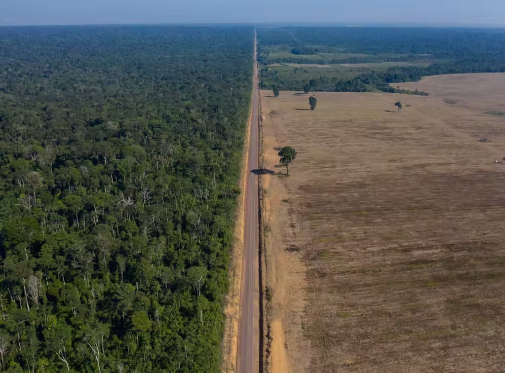 La deforestación en la amazonia brasileña de abril equivale a 140.000 canchas de fútbol.