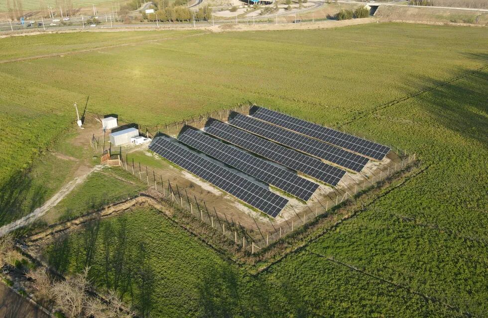 En los últimos años, el sector agroindustrial ha incrementado la demanda de paneles solares para la generación de energía. - Gentileza