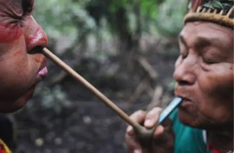 El rapé es usado desde hace siglos por los pueblos de los Andes y de Brasil.