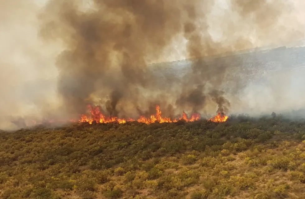 Incendios forestales. Foto: Secretaría de Ambiente de Mendoza.