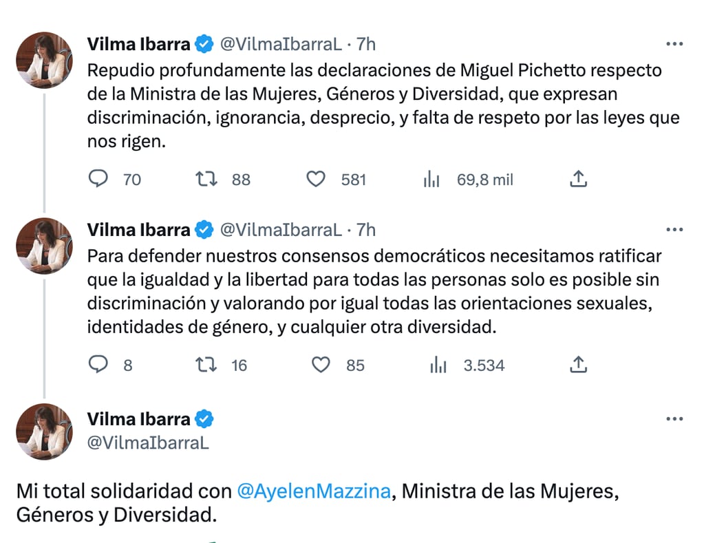 Vilma Ibarra repudió las polémicas declaraciones del dirigente Miguel Ángel Pichetto contra la ministra de Mujeres, Genero y Diversidad. Foto: