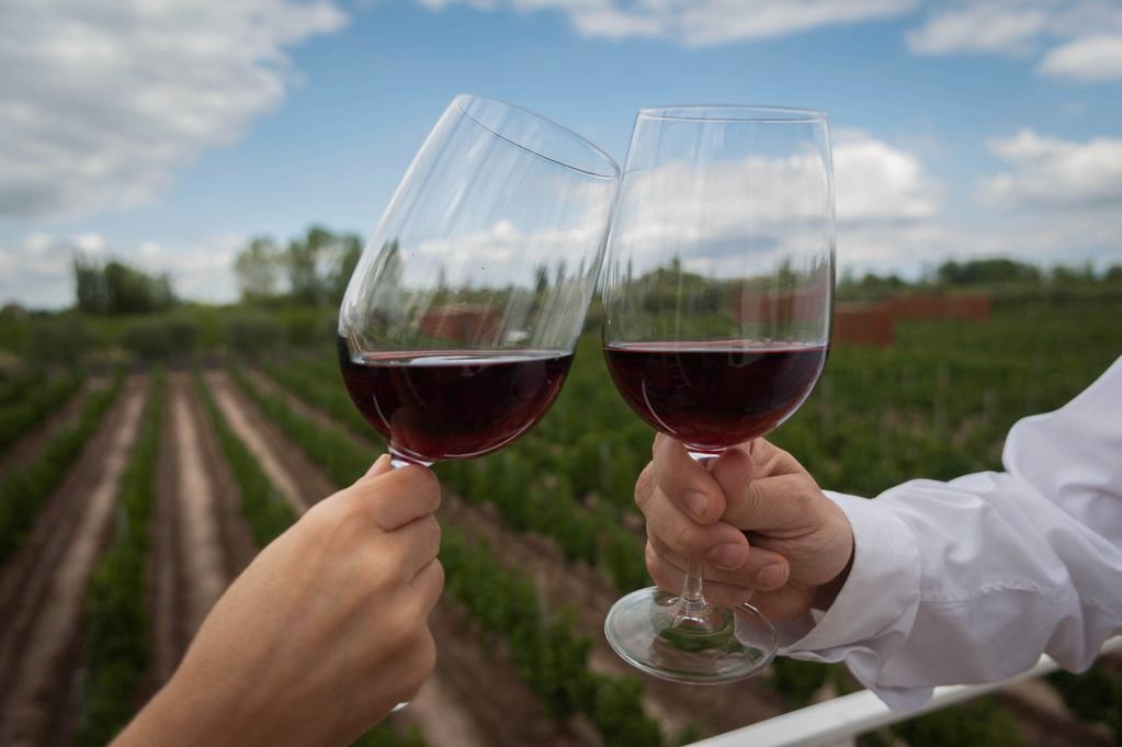 El vino es un complemento ideal para la fecha. - Ignacio Blanco / Los Andes