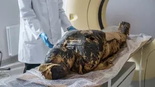Momia con un feto en su interior