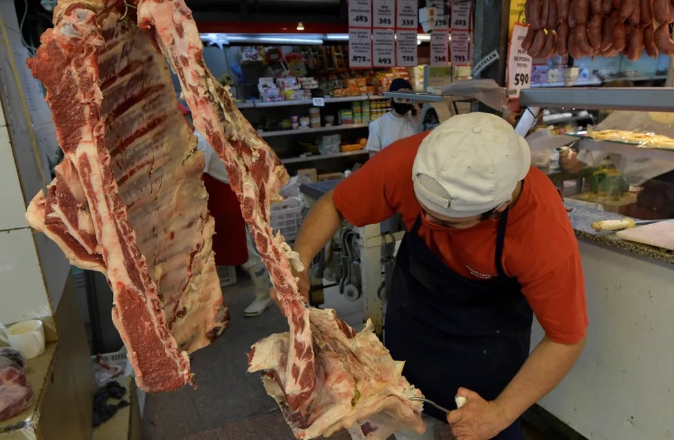 Los cortes de carne económicos comenzaron a ofrecerse desde el último miércoles en Mendoza. Orlando Pelichotti / Los Andes
