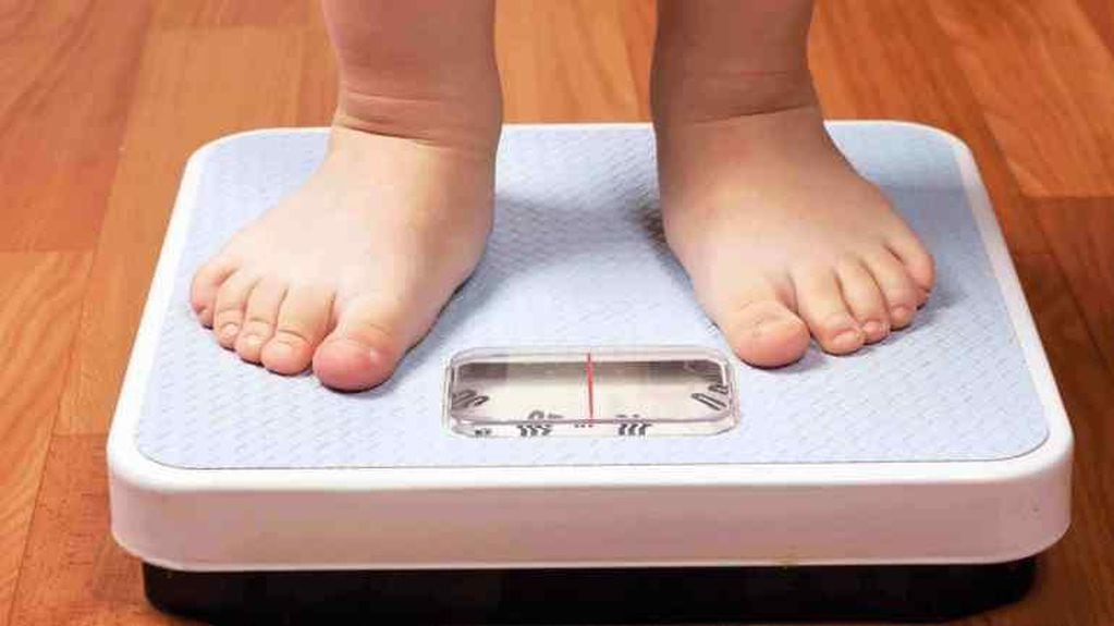 El aumento de la obesidad infantil es una de las alarmas que llaman la atención sobre la necesidad de la educación alimentaria. 