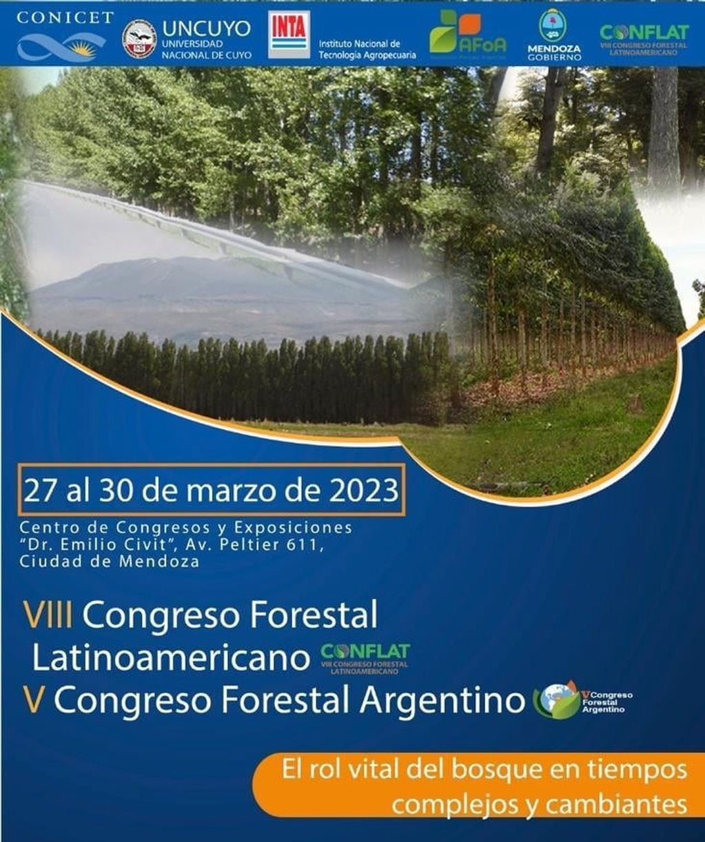 El VIII Congreso Forestal Latinoamericano y V Congreso Forestal Argentino debatirán en nuestra capital, a partir del lunes próximo.
