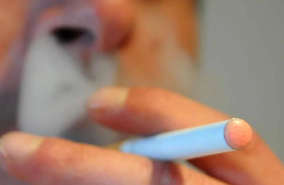Estudio confirma presencia de sustancias cancerígenas en cigarrillos electrónicos