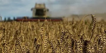 Rusia se negó a prorrogar el histórico acuerdo de exportación de granos ucranianos