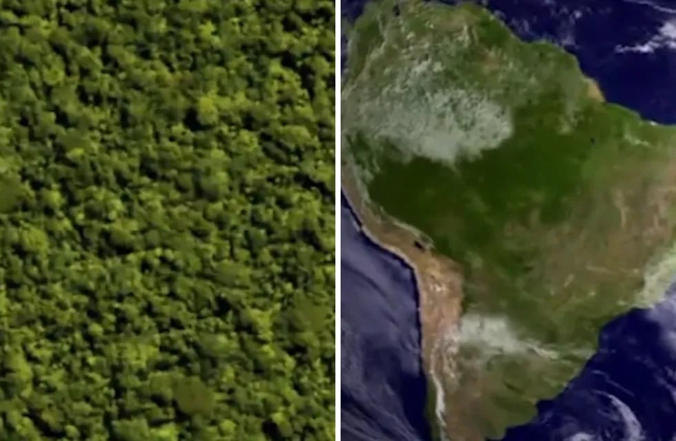 La Nasa compartió imágenes de la selva del Amazonas intacta con los sonidos de la naturaleza. NASA