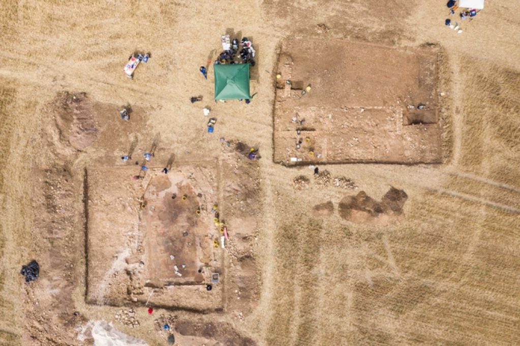 Un agricultor inglés encontró un mosaico romano en su propiedad.