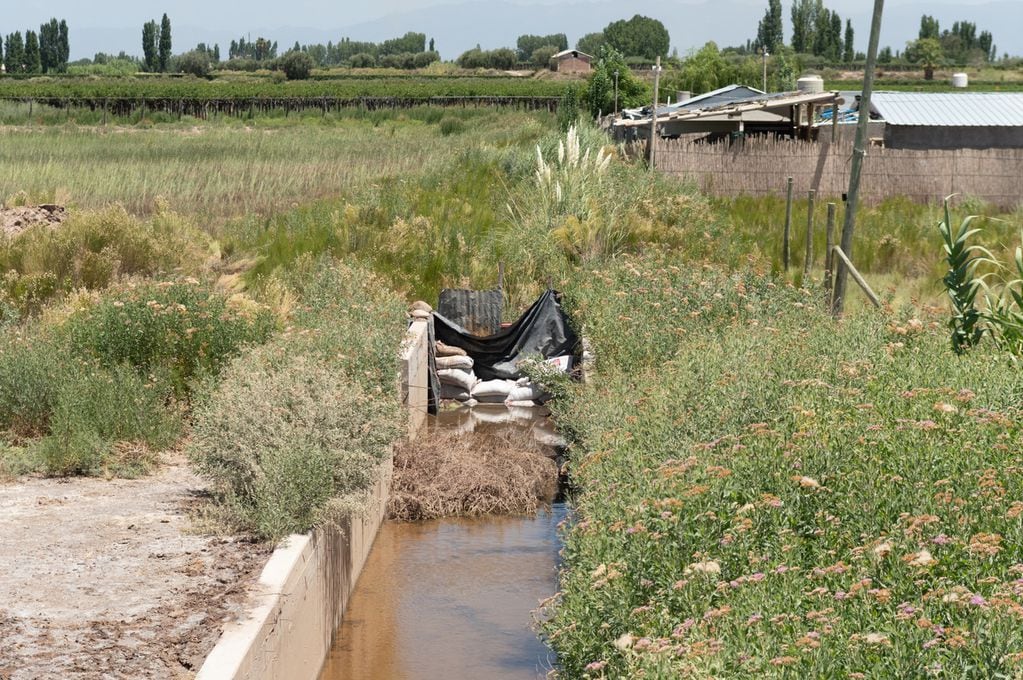 Preocupación: El regreso de agua a puntos que estaban secos en el Río Mendoza inundó casas familiares en Maipú. Foto: Ignacio Blanco / Los Andes