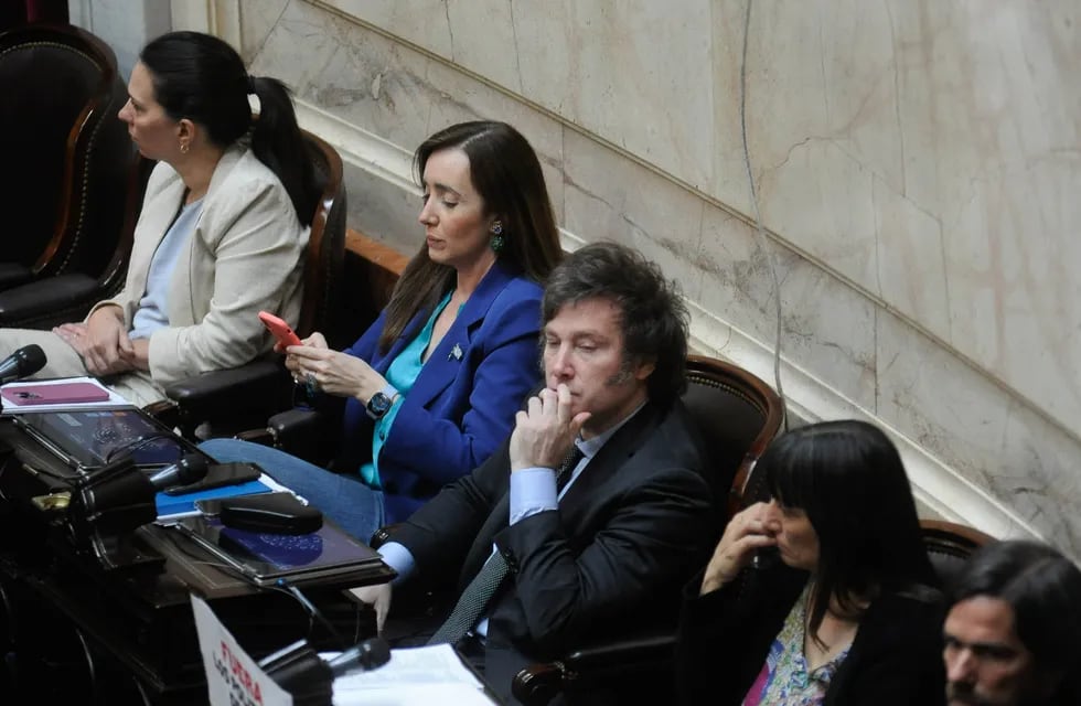 El libertario Javier Milei votó a favor de la devolución del IVA en Diputados (Foto: Federico López Claro)