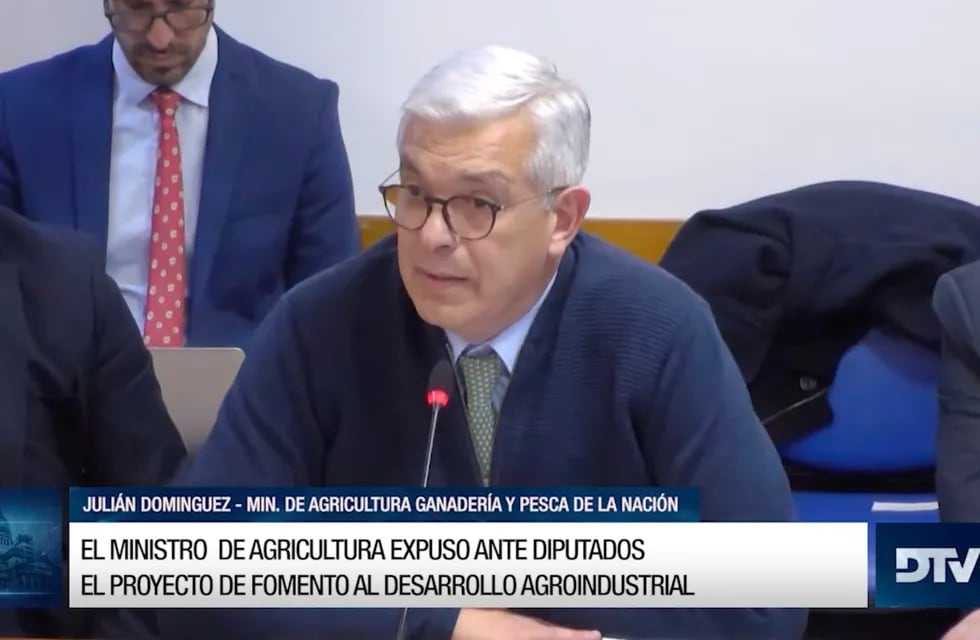 El ministro de Agricultura, Julián Domínguez, expuso ante Diputados