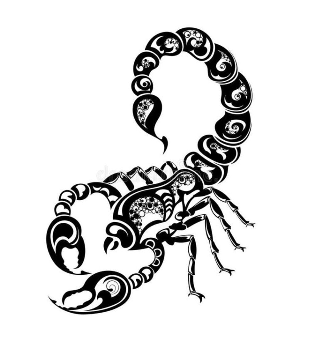 Escorpión, uno de los animales del horóscopo maya - 