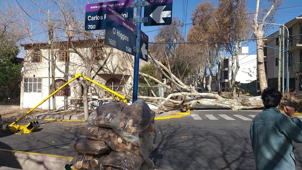 El viento Zonda en Mendoza bajó al llano y causó daños en Godoy Cruz.