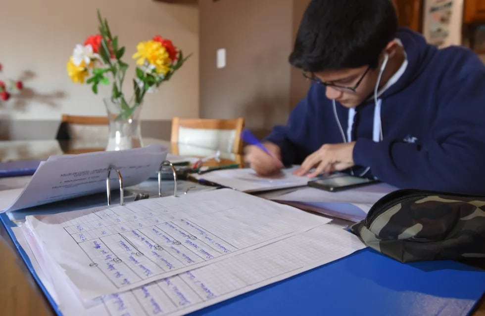Clases virtuales. Desde el 12 del próximo mes, para los niveles Inicial y Primario, y el 13 para el Secundario, los docentes comenzarán a colocar calificaciones a  sus alumnos. Foto: Jose Gutierrez / Los Andes.