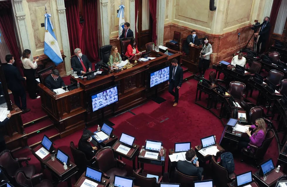 Sesiòn en el Senado de la Nación Argentina. Foto Federico Lopez Claro