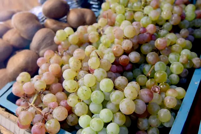 Los dos beneficios claves, que aporta un tipo de uva, a la salud