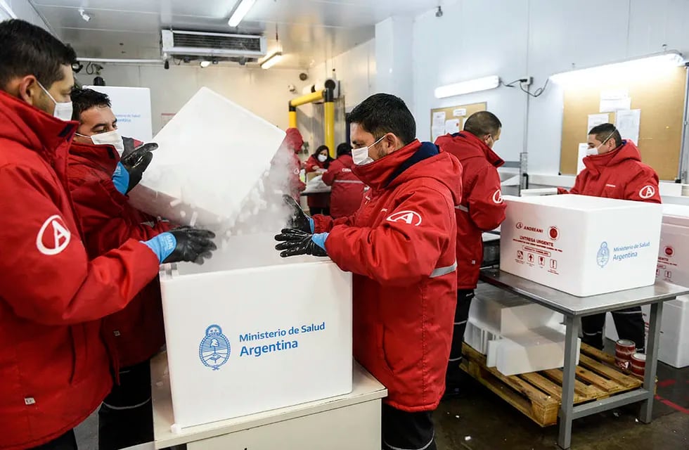 El Ministerio de Salud comenzó hoy con el proceso de distribución de 799.000 vacunas de Oxford/AstraZeneca que arribaron esta mañana al Aeropuerto Internacional de Ezeiza provenientes de Ámsterdam como parte del mecanismo COVAX.
