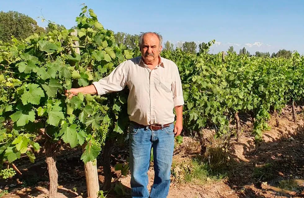 Mario Leiva: “la uva fina tiene que salir lo mismo que un dólar blue por kilo”