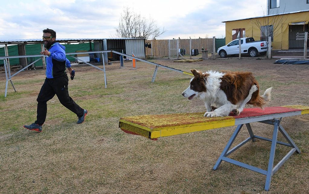 Choco Malbec funciona desde el 2012 con adiestramiento canino y entre el 2013 y 2014 comienza con el agility.