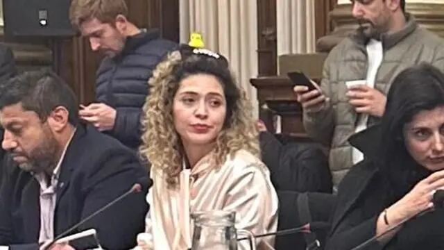 Lourdes Arrieta fue a una reunión de comisión en el Congreso con una patito en la cabeza