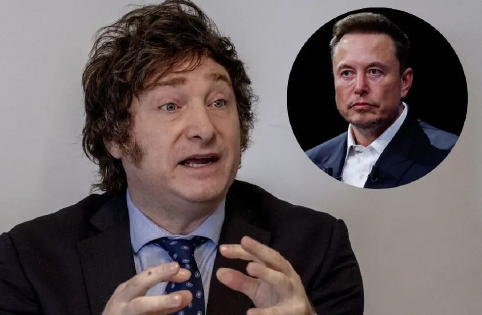 El categórico elogio de Elon Musk a Milei tras su discurso en Davos (Web)