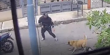 Video: dos perras salvaron a un hombre de ser asaltado por motochorros