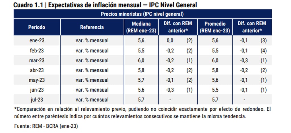 Expectativas de inflación 2023 (enero a julio) REM-BCRA