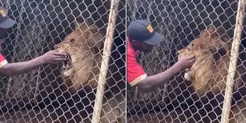 Perdió uno de sus dedos por meter la mano en la jaula de un león