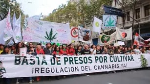 Cultivadores y activistas reclamaron la despenalización de la marihuana en la 13° Marcha Nacional