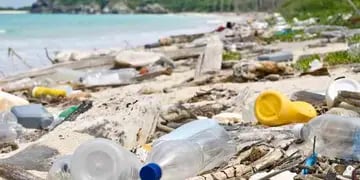 Invasión de plásticos en los mares